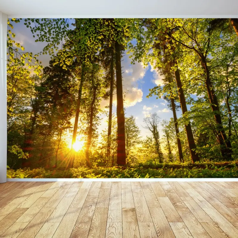 Wall mural sunlit forest path at golden hour