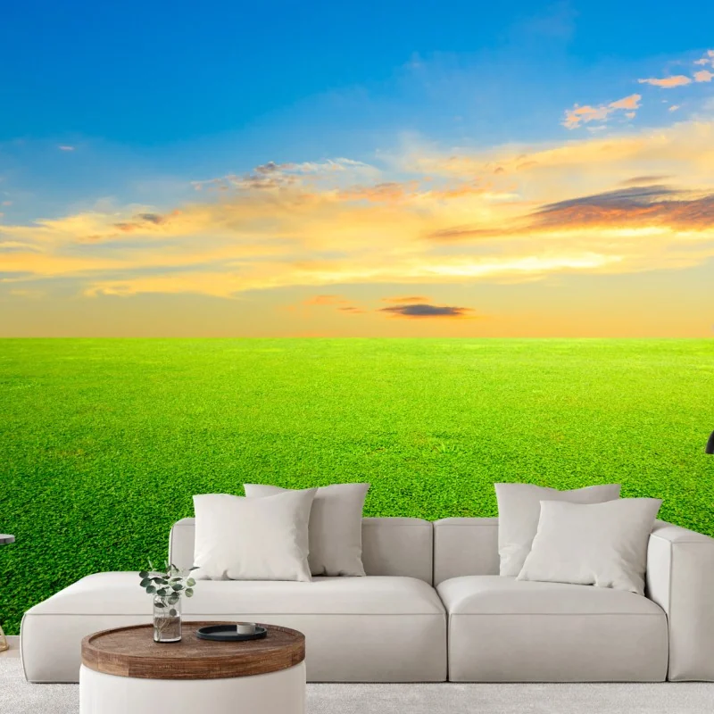 Wall mural sunset over green meadow