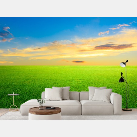 Wall mural sunset over green meadow • Wallissimo®