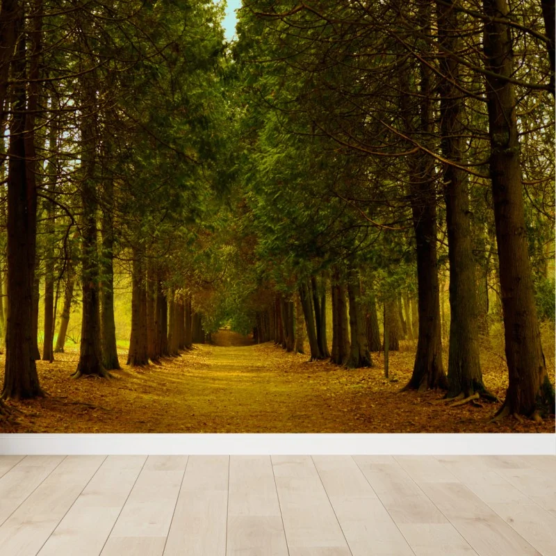 Wall mural tranquil forest avenue • Wallissimo® Wall mural tranquil forest avenue • Wallissimo®