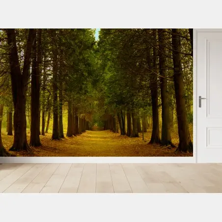 Wall mural tranquil forest avenue • Wallissimo®