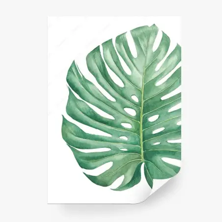 Wall mural tropical monstera watercolor leaf • Wallissimo®