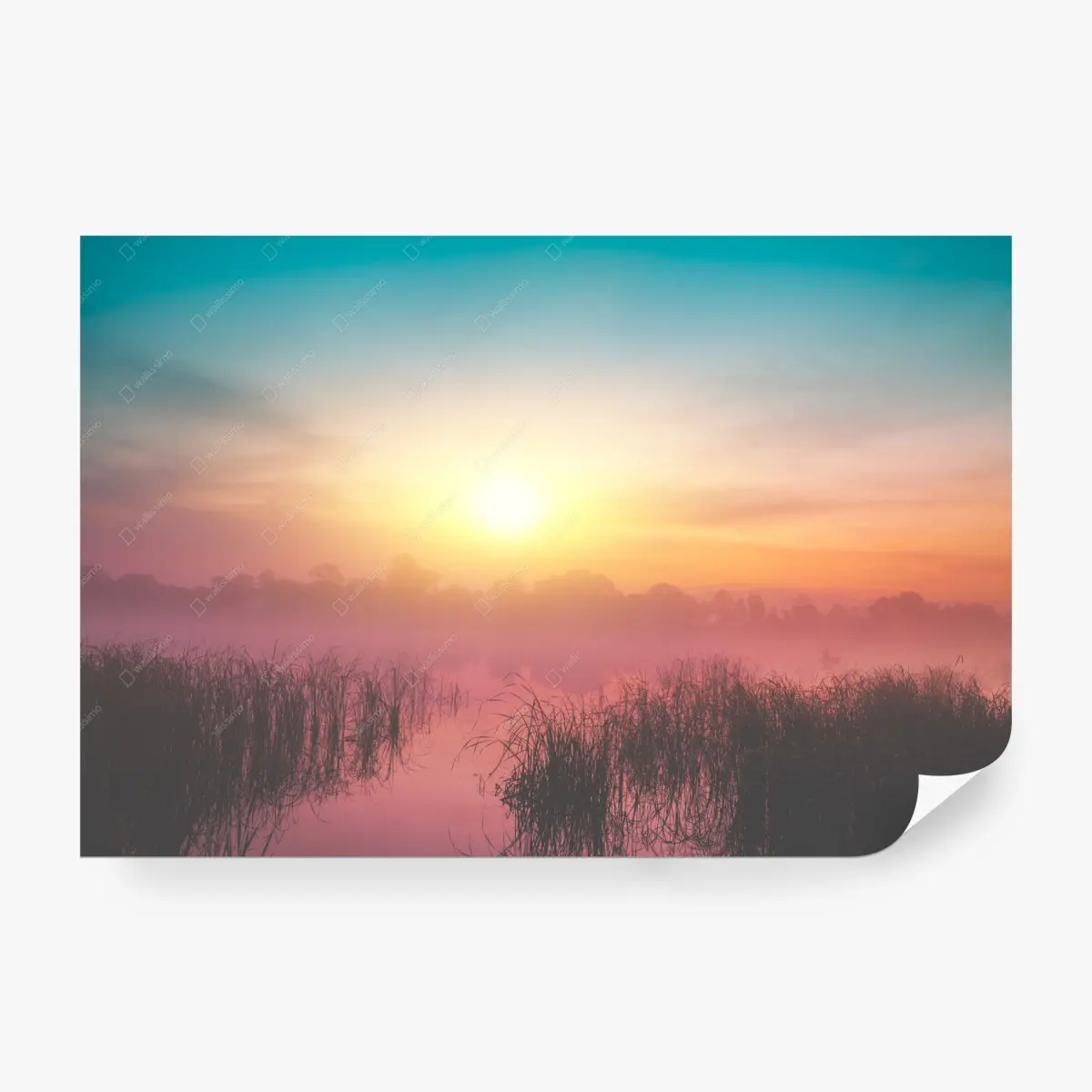 Wall mural misty sunrise over tranquil lake • Wallissimo®