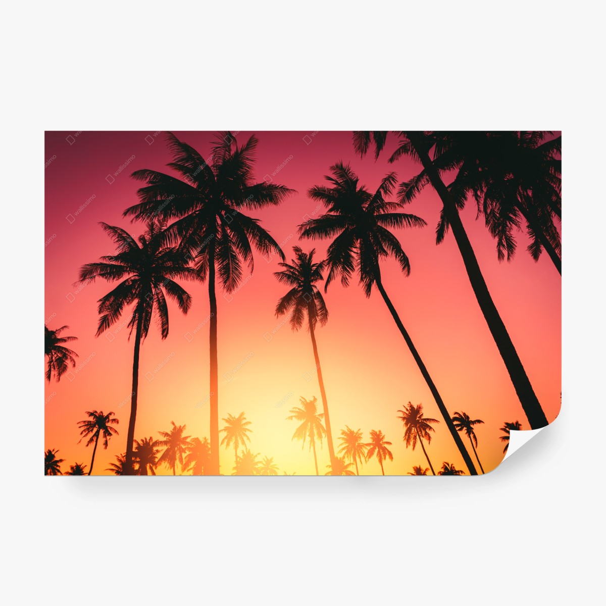 Wall mural tropical sunset palms silhouette • Wallissimo®
