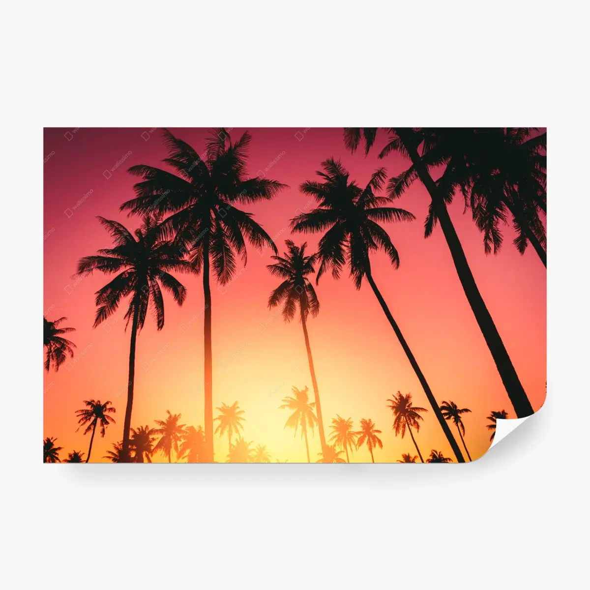 Wall mural tropical sunset palms silhouette • Wallissimo®