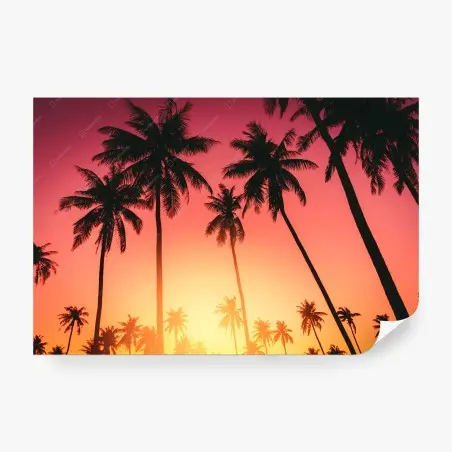 Wall mural tropical sunset palms silhouette • Wallissimo®