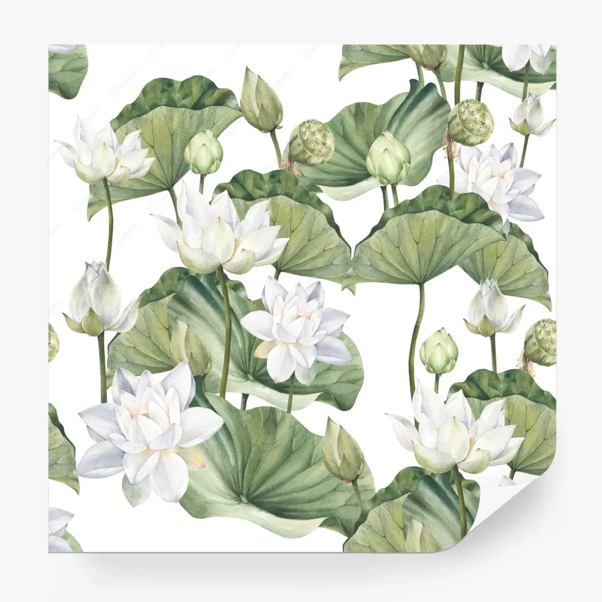 Wall mural white lotus watercolor botanical pattern • Wallissimo®