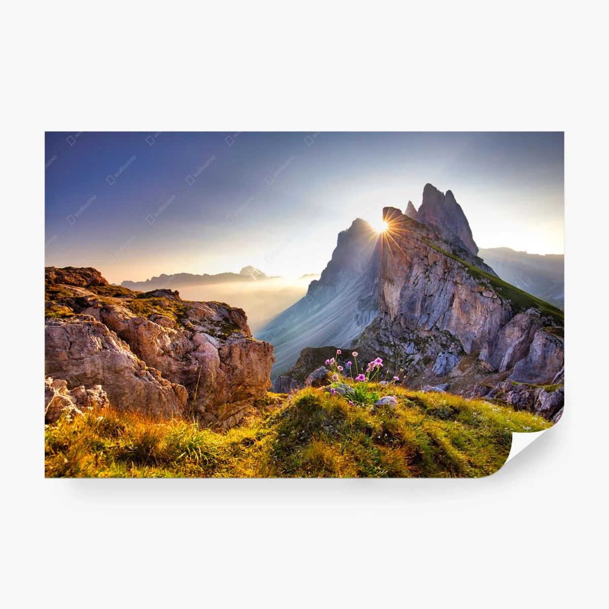 Wall mural sunrise over Seceda, Dolomites • Wallissimo®