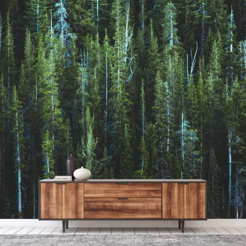 Wall mural tranquil turquoise lake and evergreen forest
