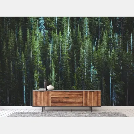 Wall mural tranquil turquoise lake and evergreen forest • Wallissimo®