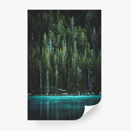 Wall mural tranquil turquoise lake and evergreen forest • Wallissimo®