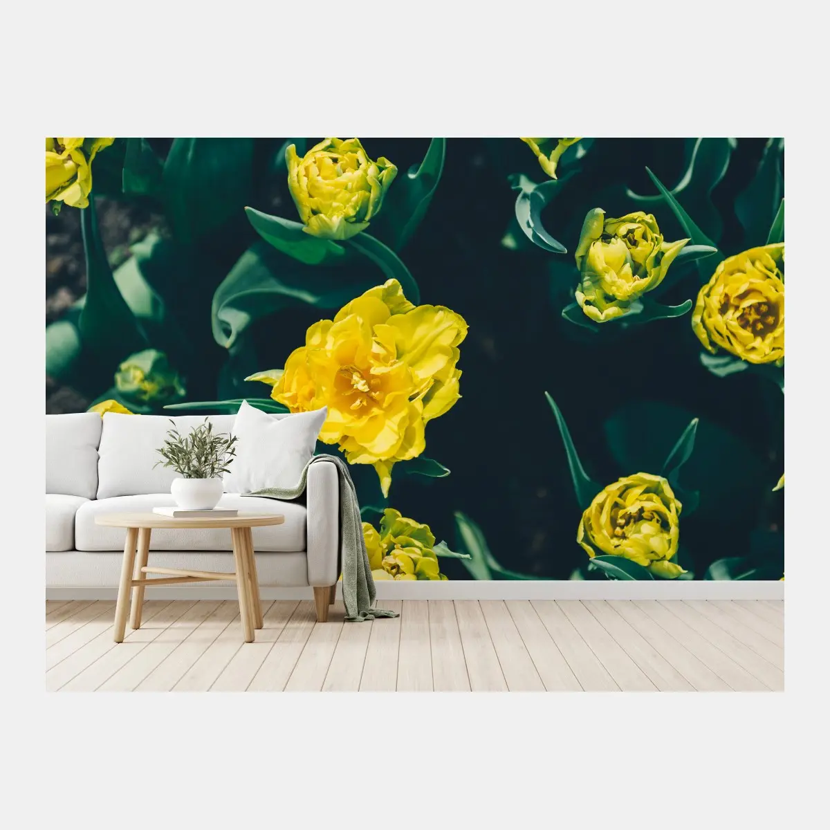 Wall mural vibrant yellow tulip blooms • Wallissimo®