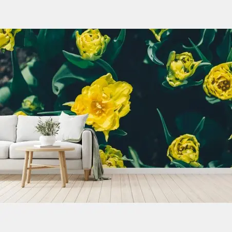 Wall mural vibrant yellow tulip blooms • Wallissimo®