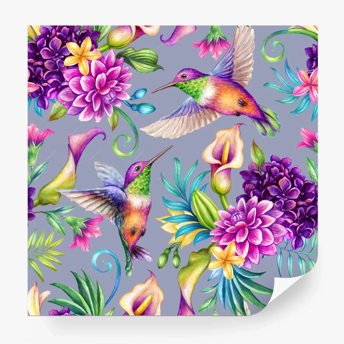 Wall mural vibrant hummingbird and tropical flower pattern • Wallissimo® Wall mural vibrant hummingbird and tropical flower pattern • Wallissimo®