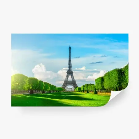 Wall mural eiffel tower view in Paris • Wallissimo®