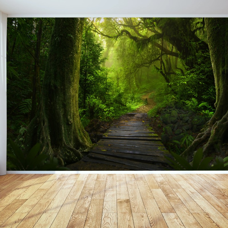 Wall mural emerald forest pathway