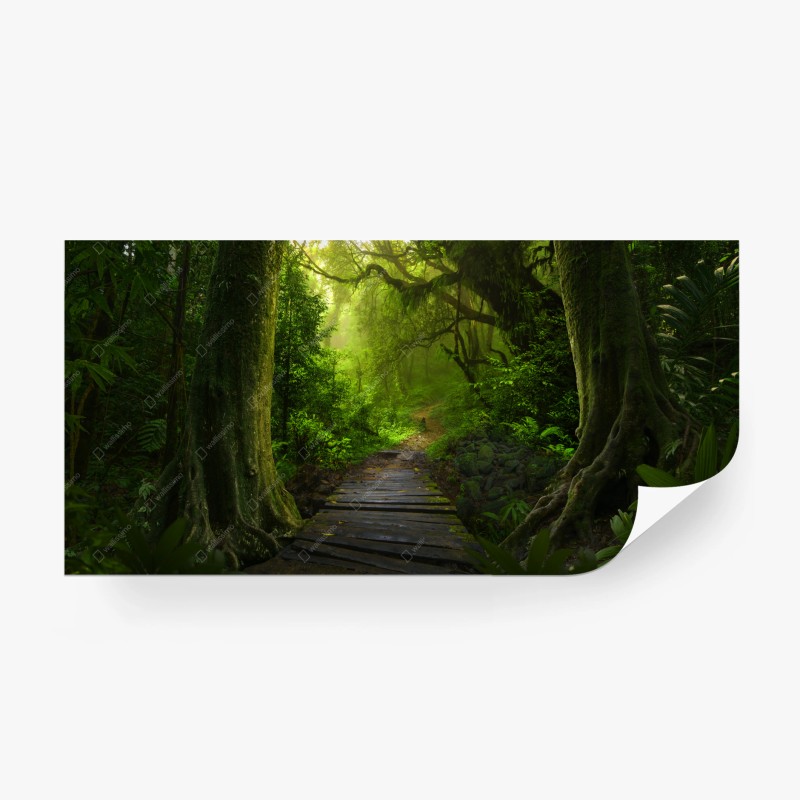 Wall mural emerald forest pathway