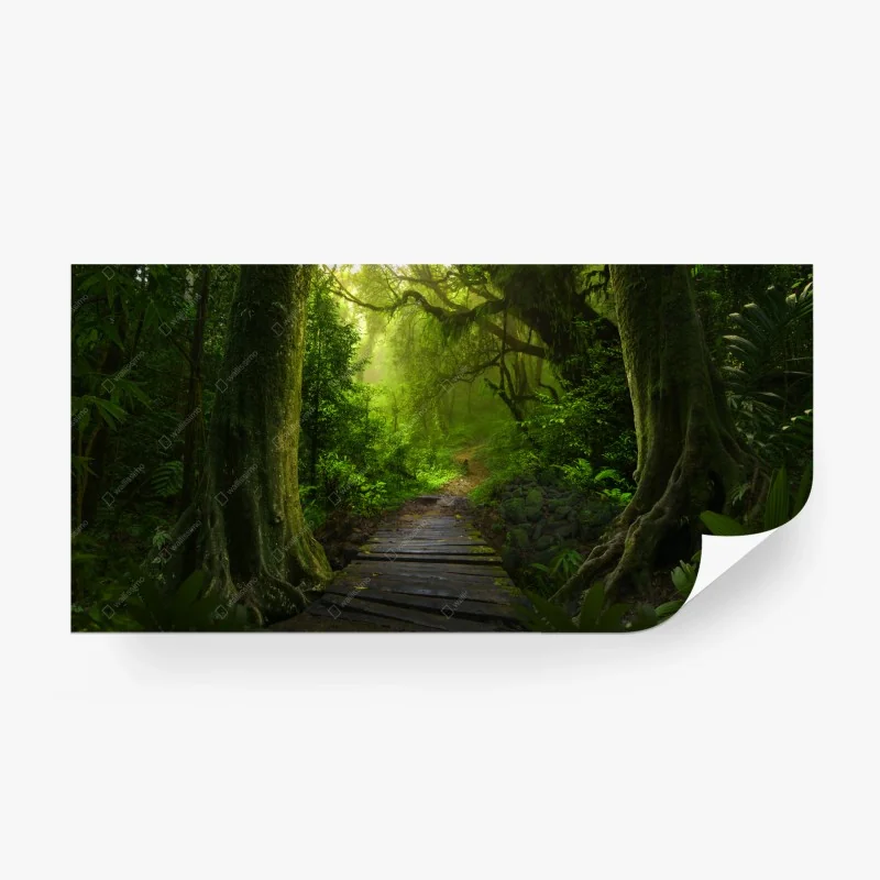 Wall mural soft watercolor eucalyptus leaves pattern • Wallissimo®
