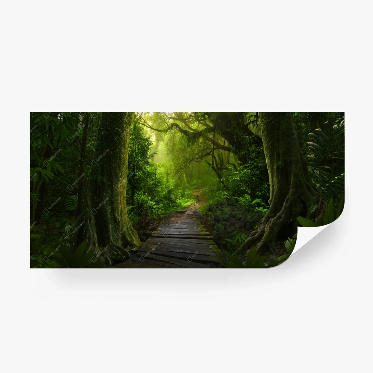 Wall mural emerald forest pathway • Wallissimo® Wall mural emerald forest pathway • Wallissimo®