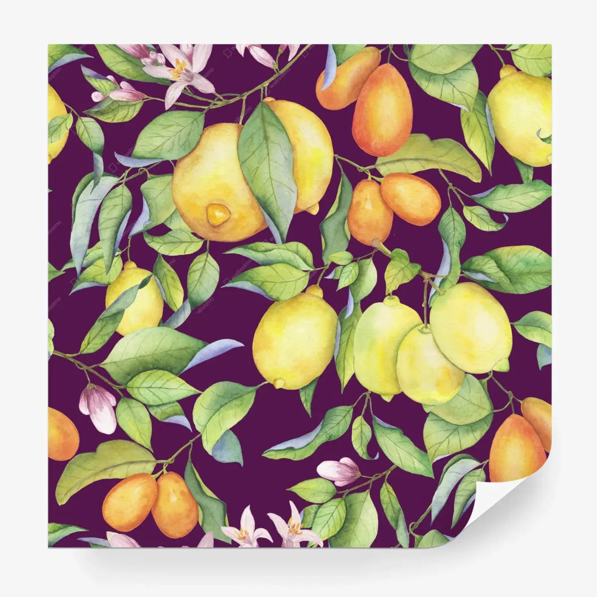 Wall mural vibrant citrus watercolor on purple background • Wallissimo®
