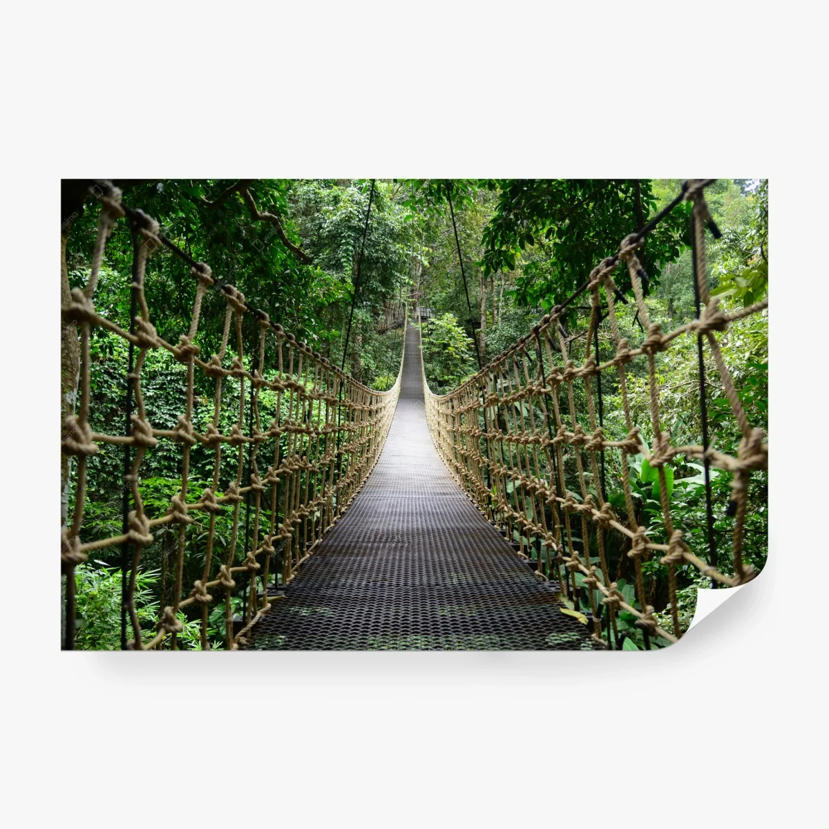 Wall mural suspended canopy bridge through lush forest • Wallissimo® Wall mural suspended canopy bridge through lush forest • Wallissimo®