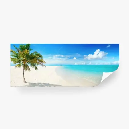 Wall mural tropical palm on turquoise beach • Wallissimo®