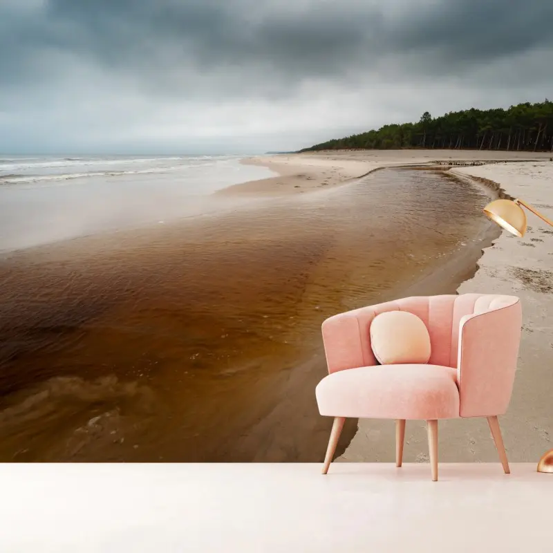 Wall mural calm coastal stream on a moody beach