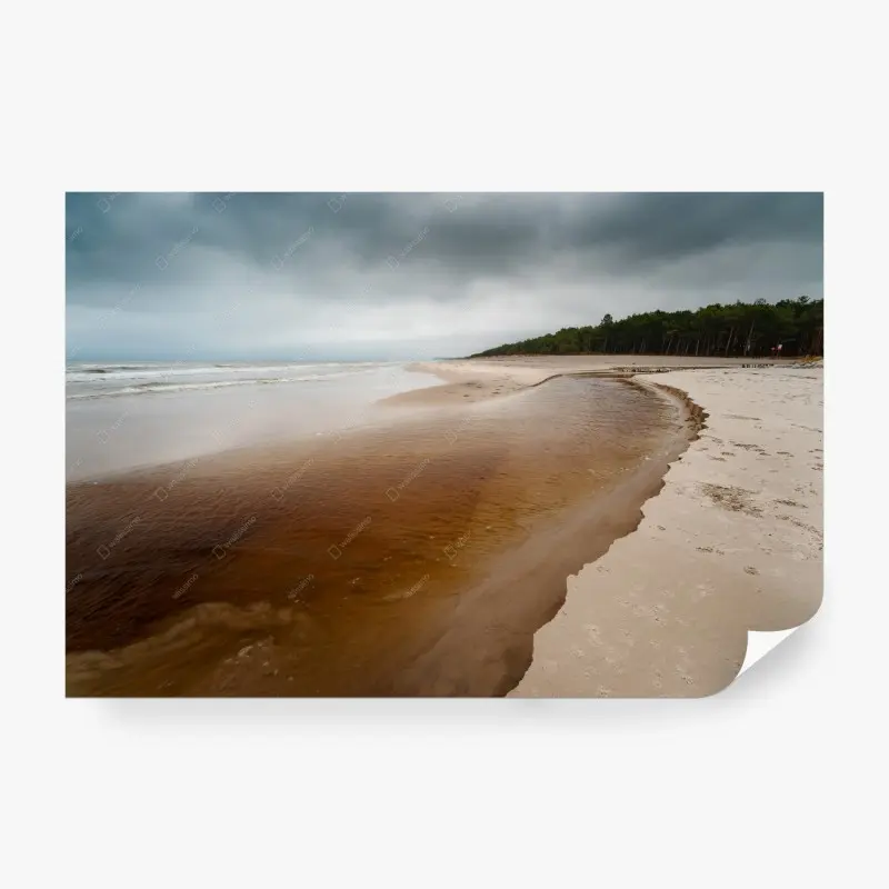 Wall mural black marble veined texture • Wallissimo®