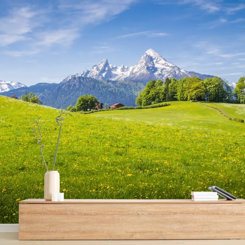 Wall mural alpine meadow with snowcapped mountain peaks