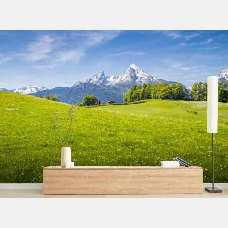 Wall mural alpine meadow with snowcapped mountain peaks • Wallissimo®