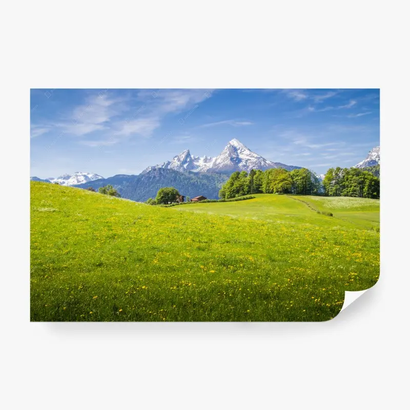 Wall mural • Wallissimo®