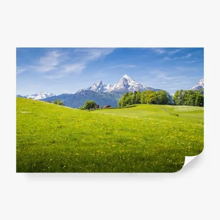 Wall mural alpine meadow with snowcapped mountain peaks • Wallissimo®