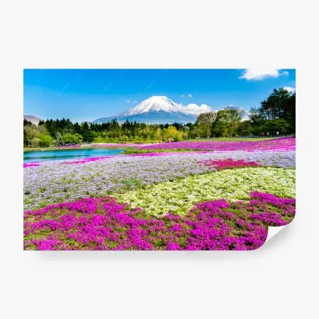 Wall mural Mount Fuji and shibazakura meadow • Wallissimo®