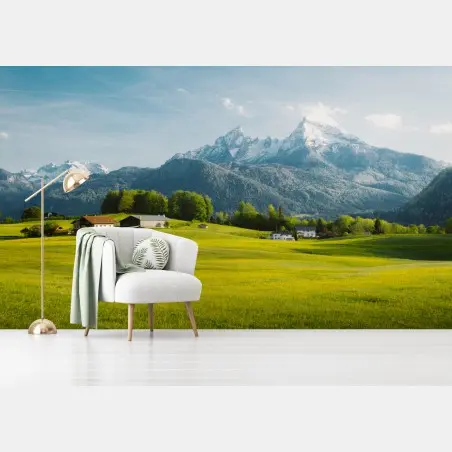 Wall mural alpine spring meadows with snowcapped peaks • Wallissimo®