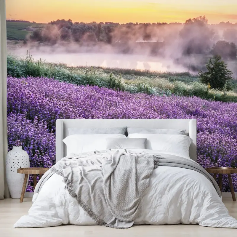 Wall mural misty lavender field at dawn
