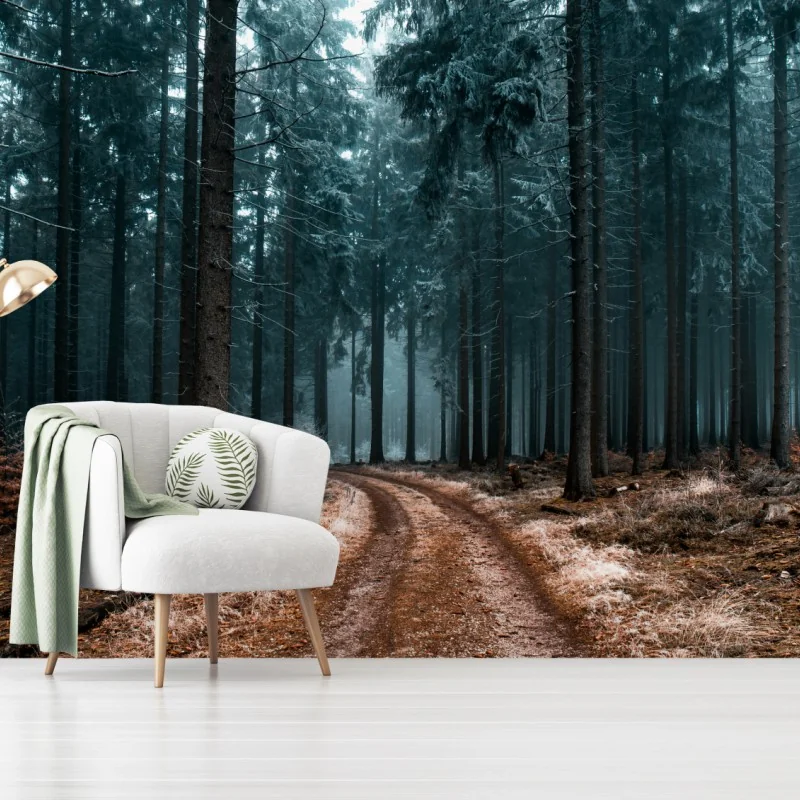 Wall mural misty forest path through evergreen woods