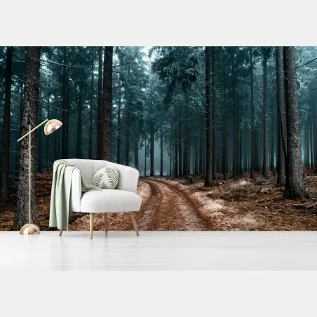 Wall mural misty forest path through evergreen woods • Wallissimo®