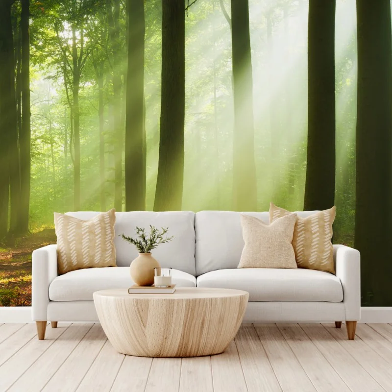 Wall mural sunlit morning forest