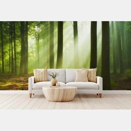 Wall mural sunlit morning forest • Wallissimo®