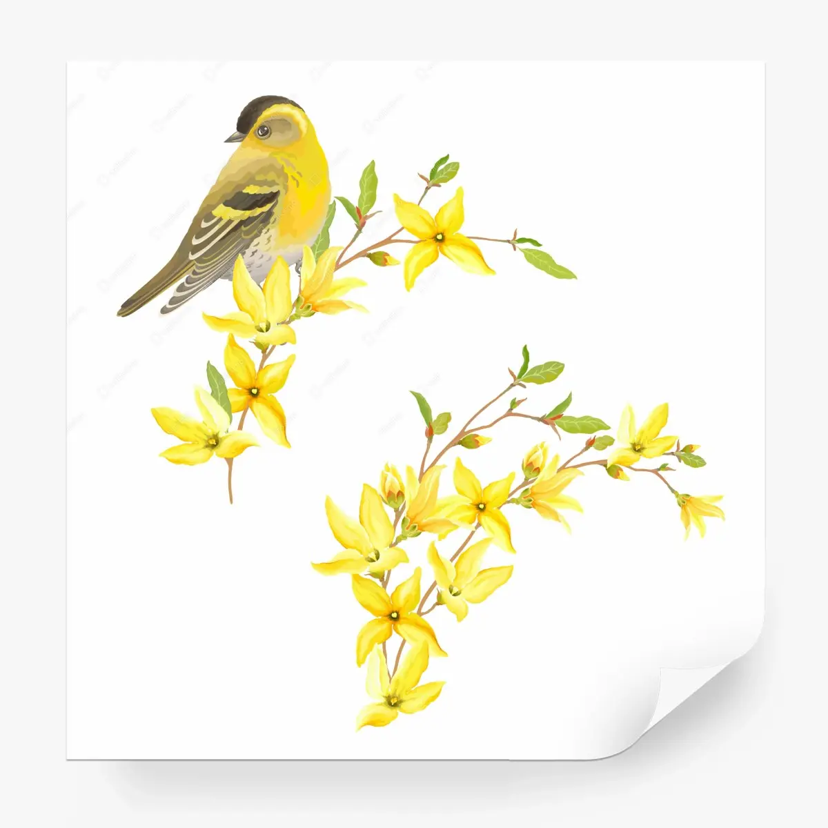 Wall mural yellow bird and floral watercolor composition • Wallissimo® Wall mural yellow bird and floral watercolor composition • Wallissimo®