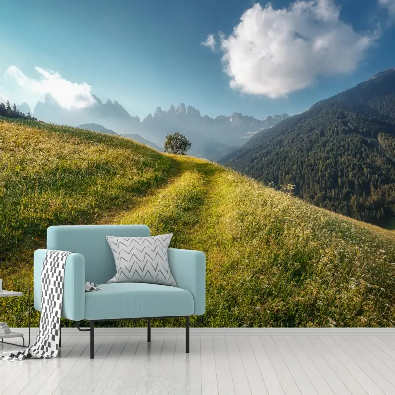 Wall mural idyllic alpine meadow in the Dolomites