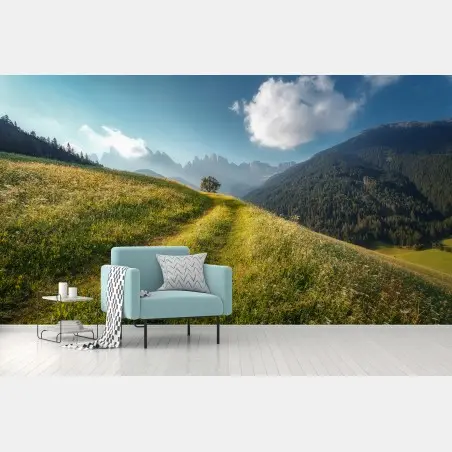 Wall mural idyllic alpine meadow in the Dolomites • Wallissimo®