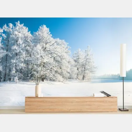 Wall mural serene winter landscape with frosted trees • Wallissimo®