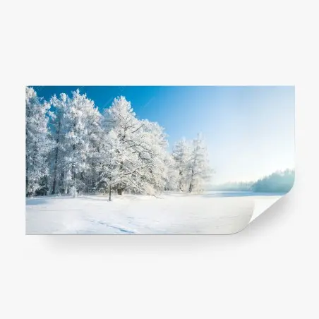 Wall mural serene winter landscape with frosted trees • Wallissimo®