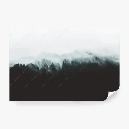 Wall mural misty forest silhouette • Wallissimo®