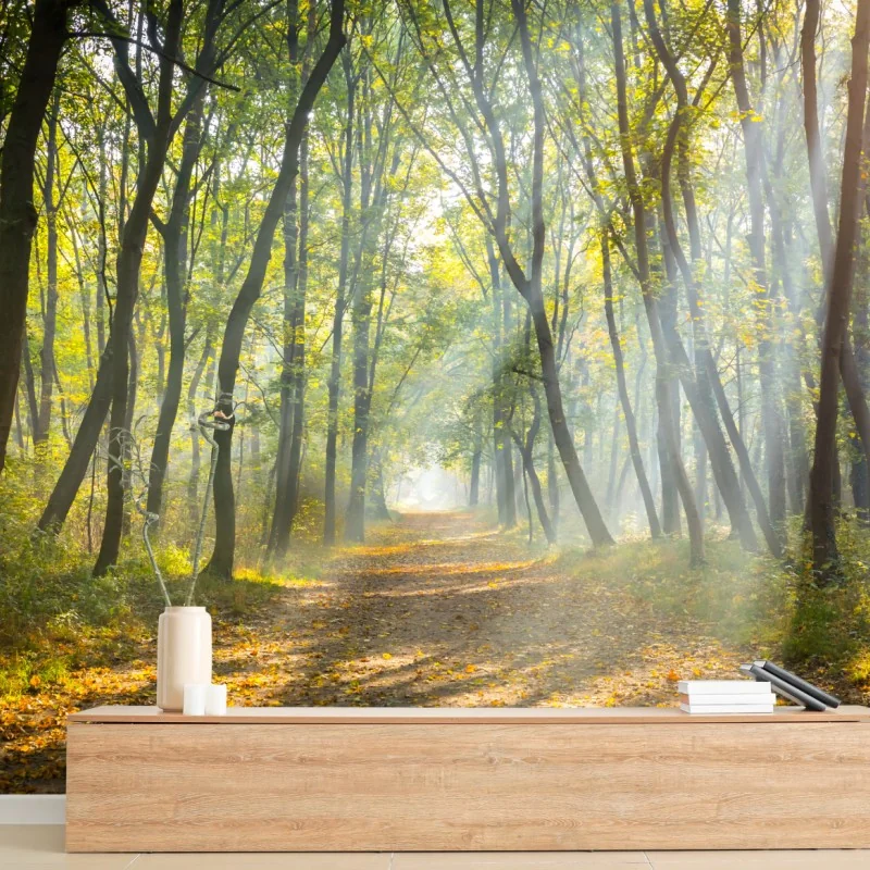 Wall mural misty forest path with sun rays • Wallissimo®
