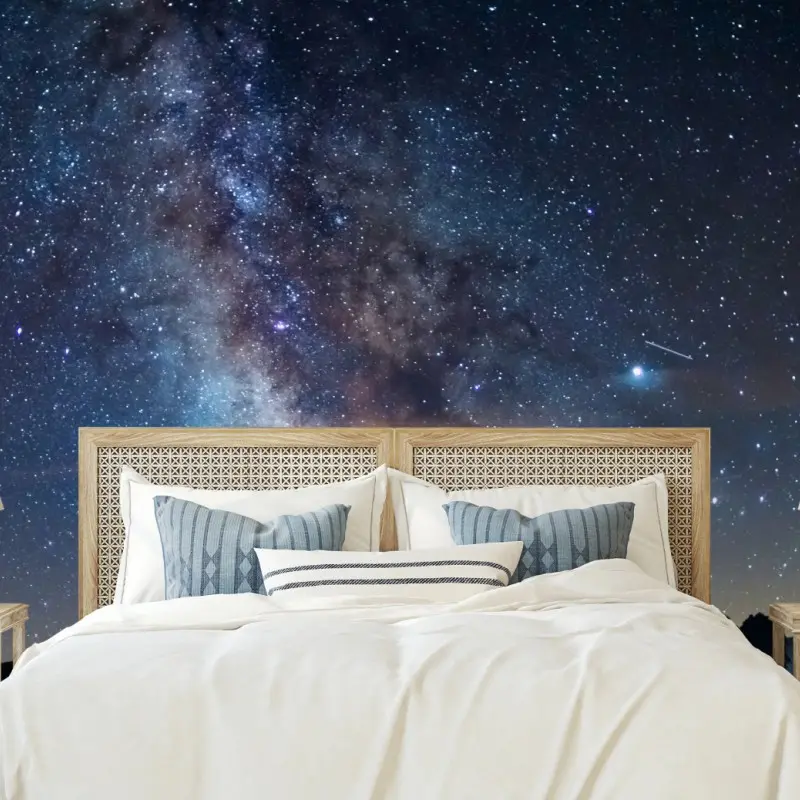 Wall mural milky way over the Alps