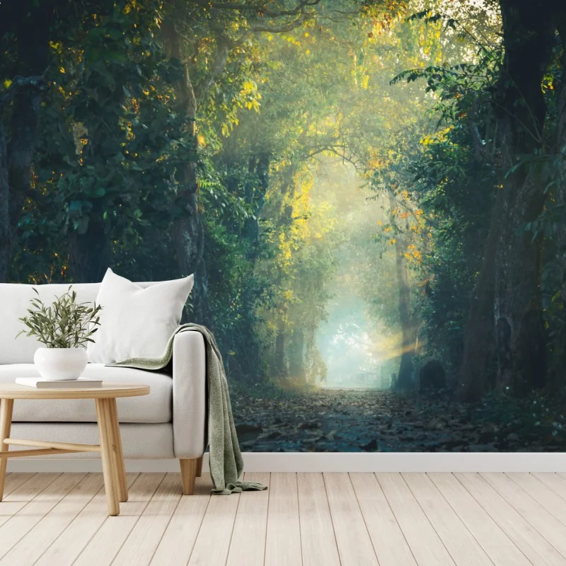 Wall mural enchanted forest path with sunbeam