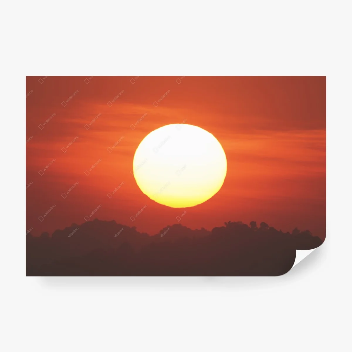 Wall mural golden sunset over cloud horizon • Wallissimo®