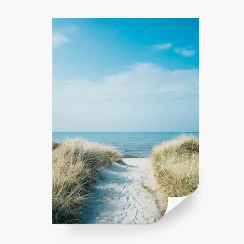 Wall mural path through beach dunes to the sea